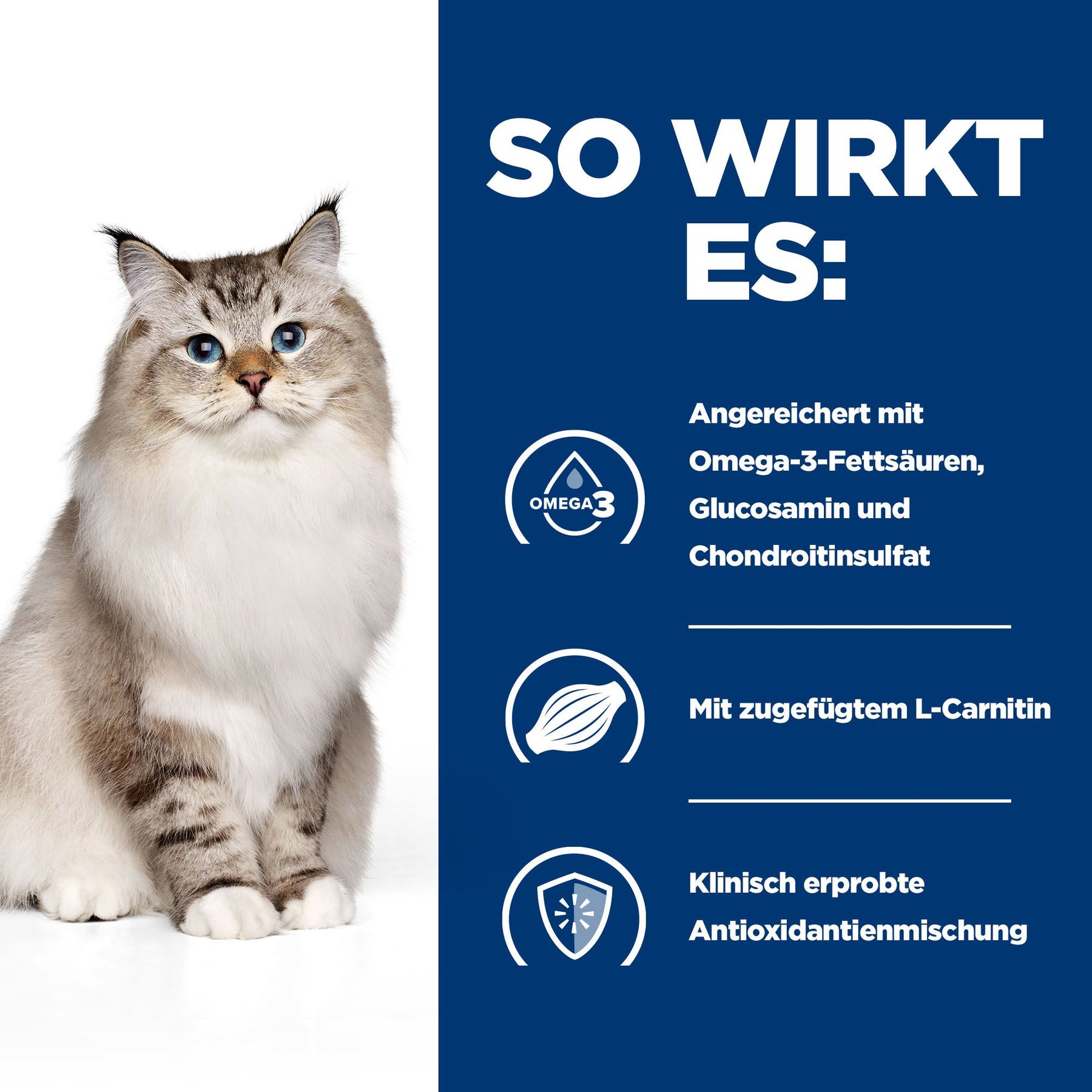 j/d Katzen Trockenfutter mit Huhn How It Works