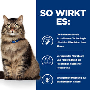 Gastrointestinal Biome Katzen Ragout How It Works