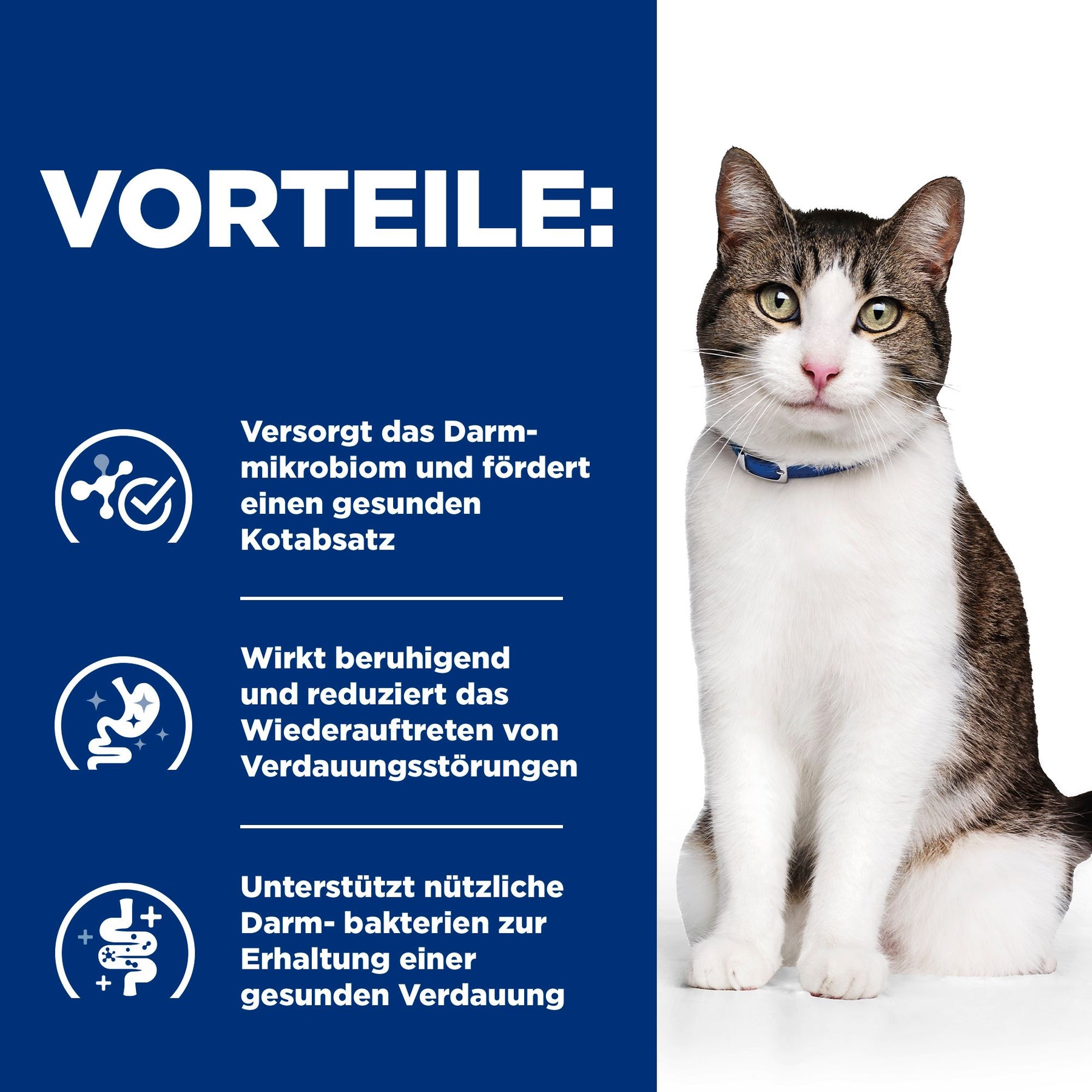 Gastrointestinal Biome Stress Katzenfutter mit Huhn How It Helps