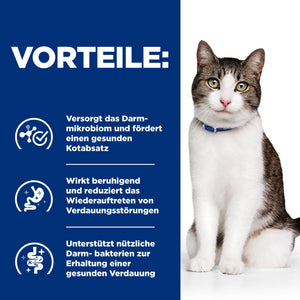 Gastrointestinal Biome Stress Katzenfutter mit Huhn How It Helps