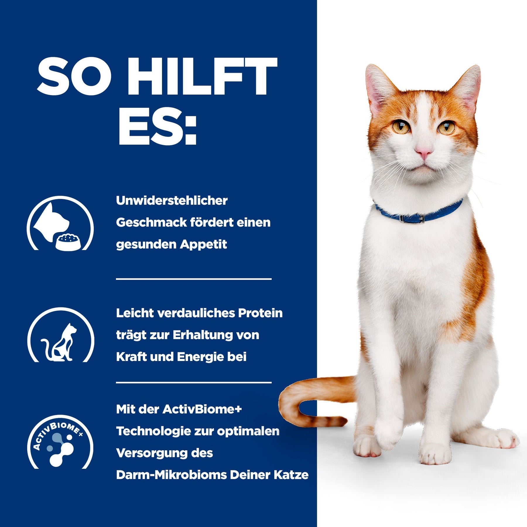 ON-Care Katzen Ragout Huhn & Gemüse How It Helps