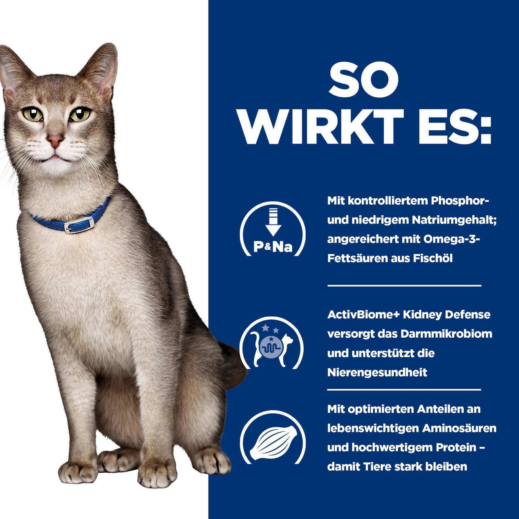 k/d Nassfutter für Katzen mit Lachs How It Works