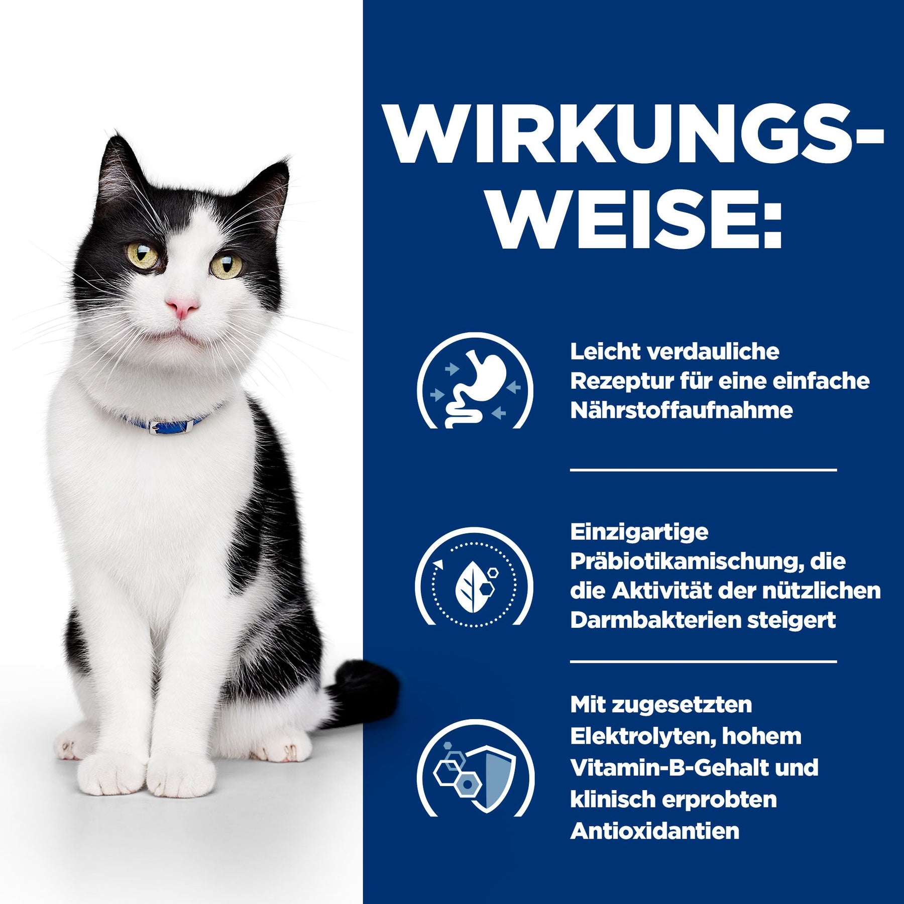 i/d Katzenfutter How It Works