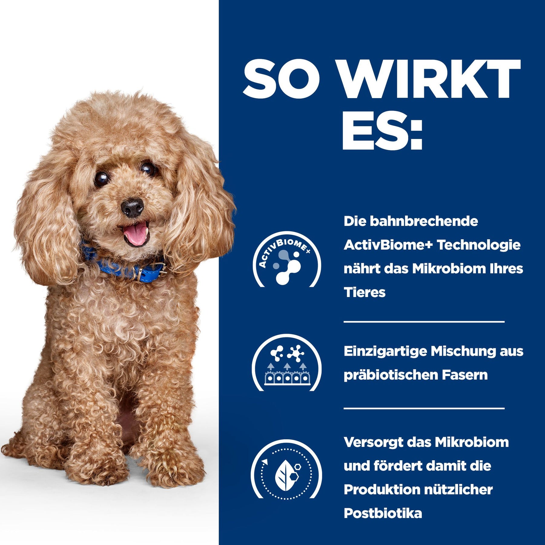 Gastrointestinal Biome Mini Hundefutter mit Huhn How It Works