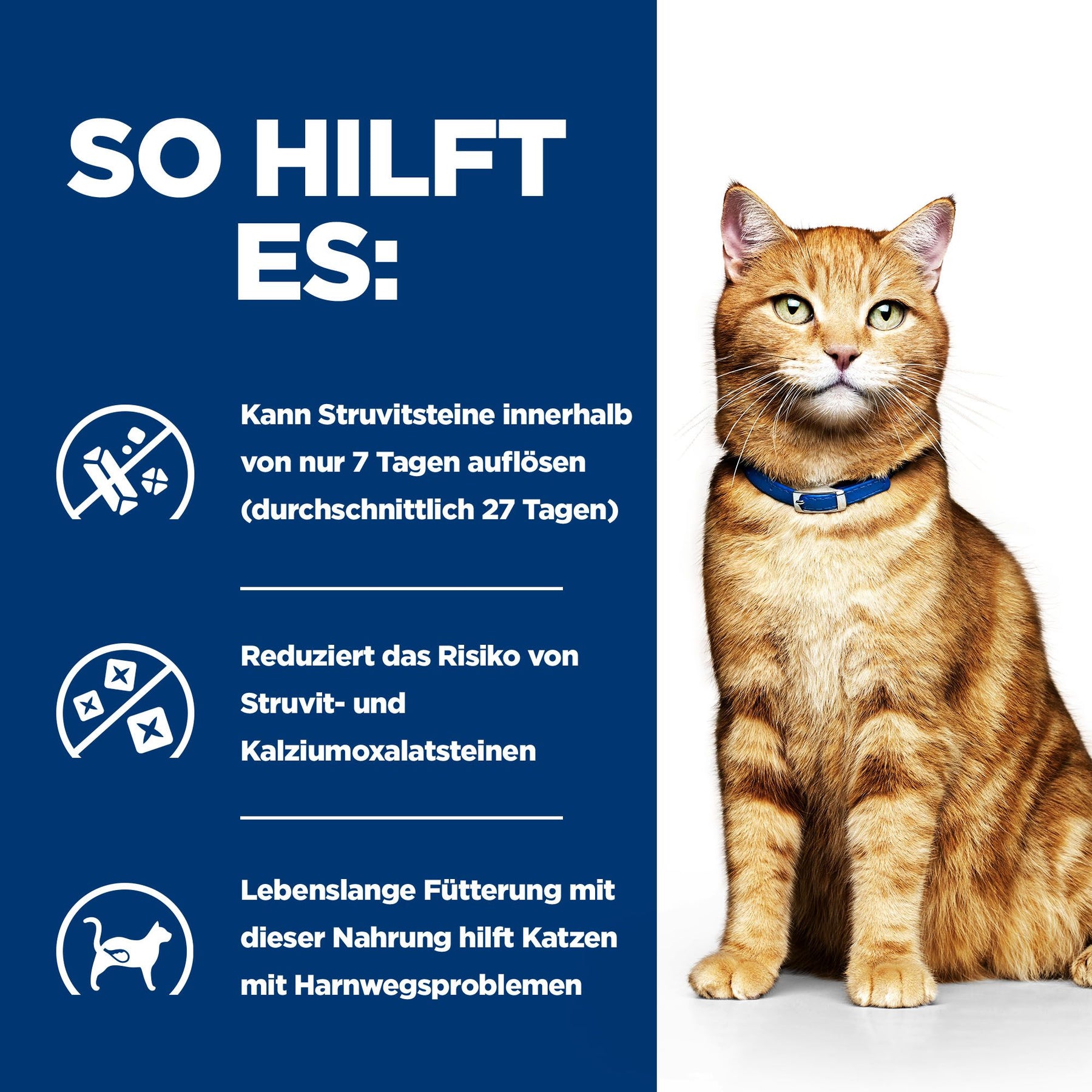 c/d Multicare Katzenfutter mit Huhn How It Helps