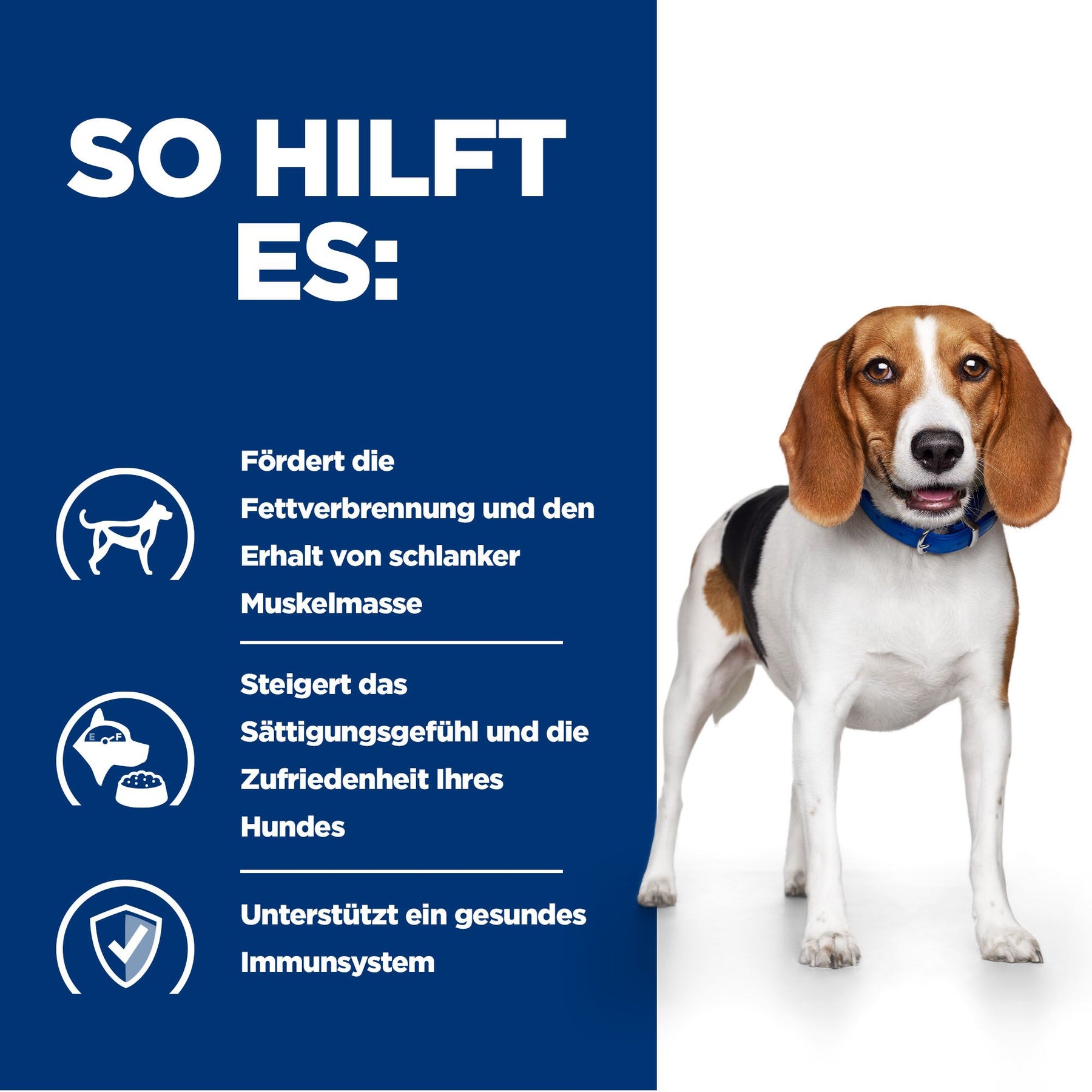 r/d Trockenfutter für Hunde mit Huhn How It Helps