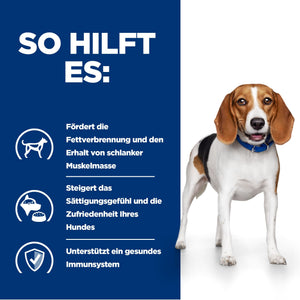 r/d Trockenfutter für Hunde mit Huhn How It Helps