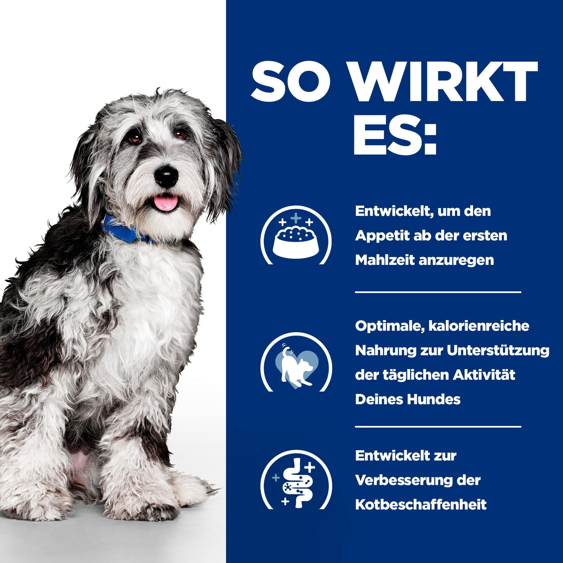 ON-Care Hunde Ragout Huhn & Gemüse How It Works