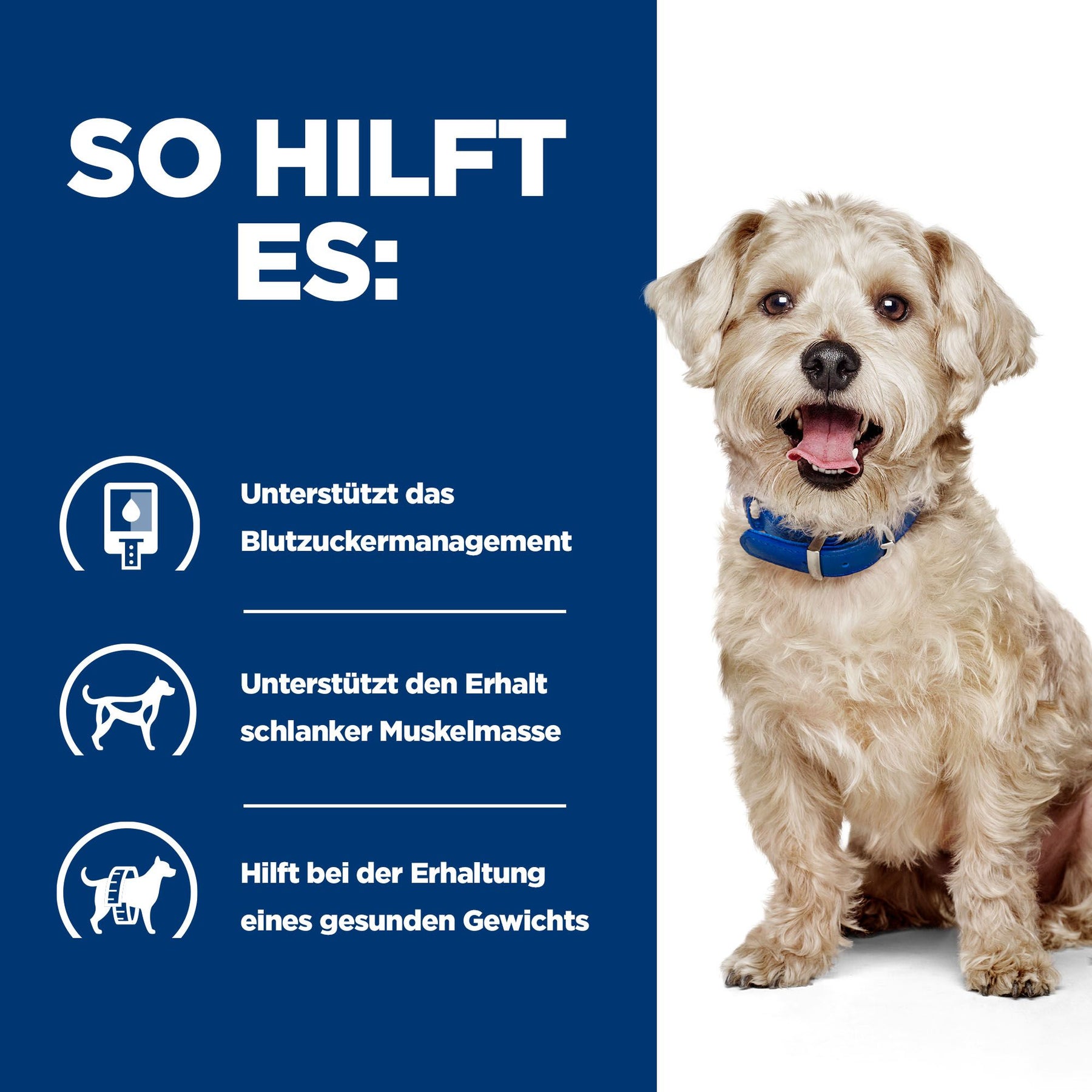 w/d Trockenfutter für Hunde mit Huhn How It Helps