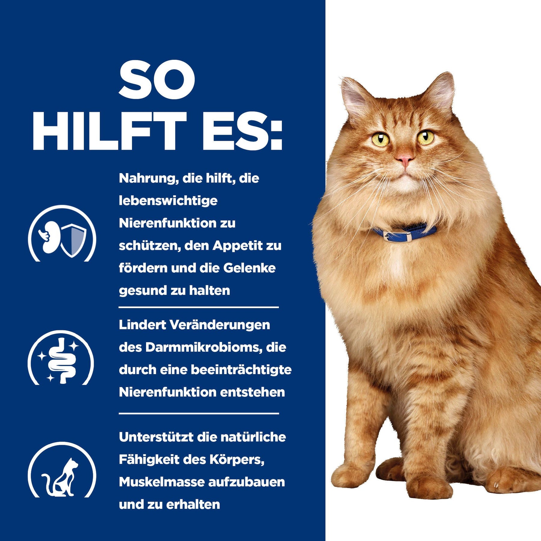 k/d + Mobility Katzenfutter mit Huhn How It Helps