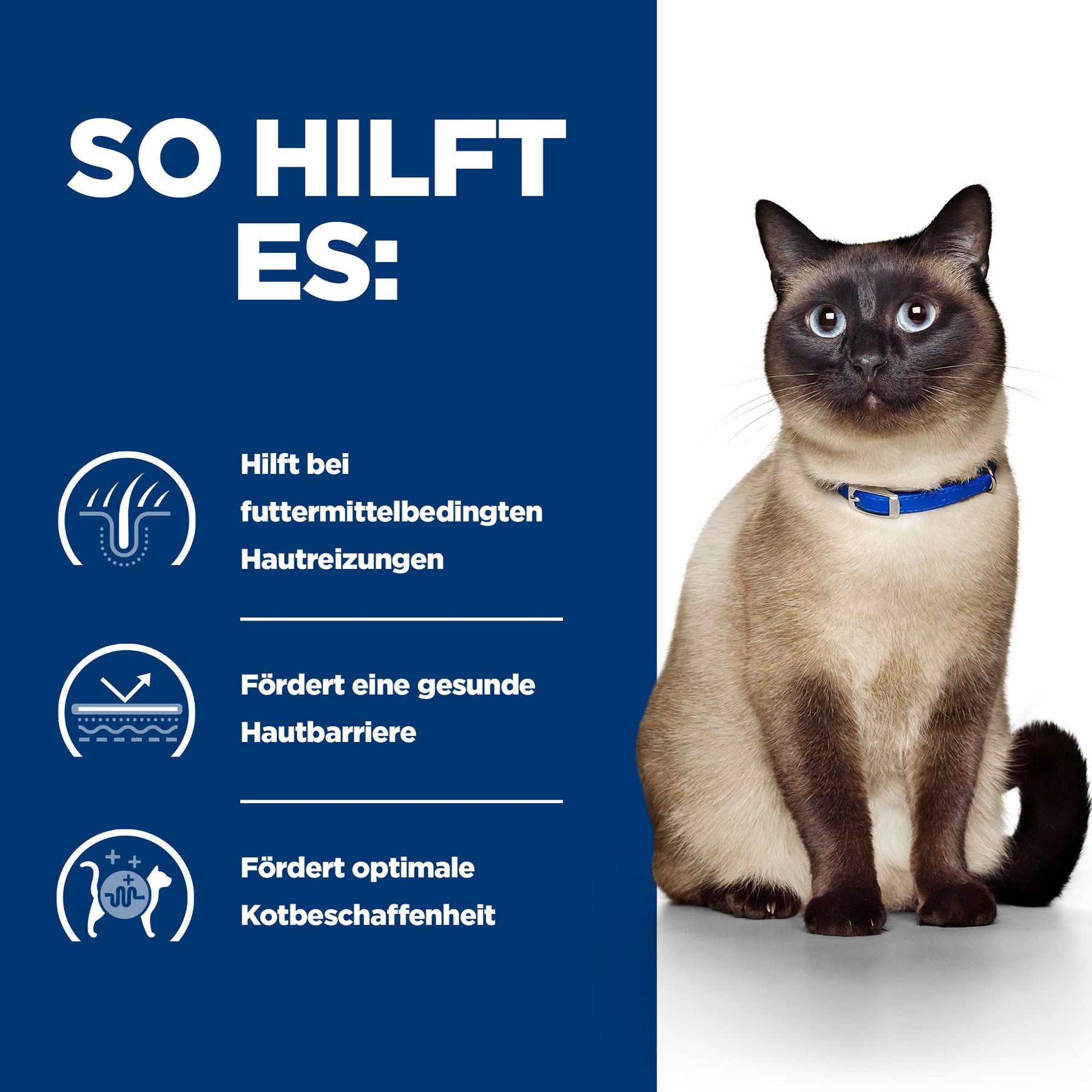 z/d Katzen Trockenfutter Original How It Helps