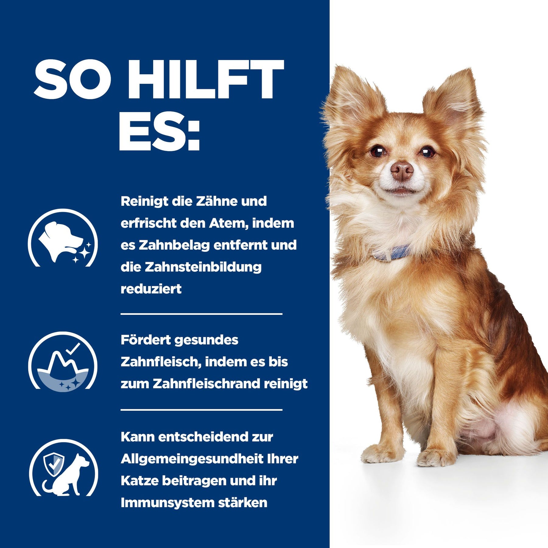 t/d Mini Hundefutter mit Huhn How It Helps