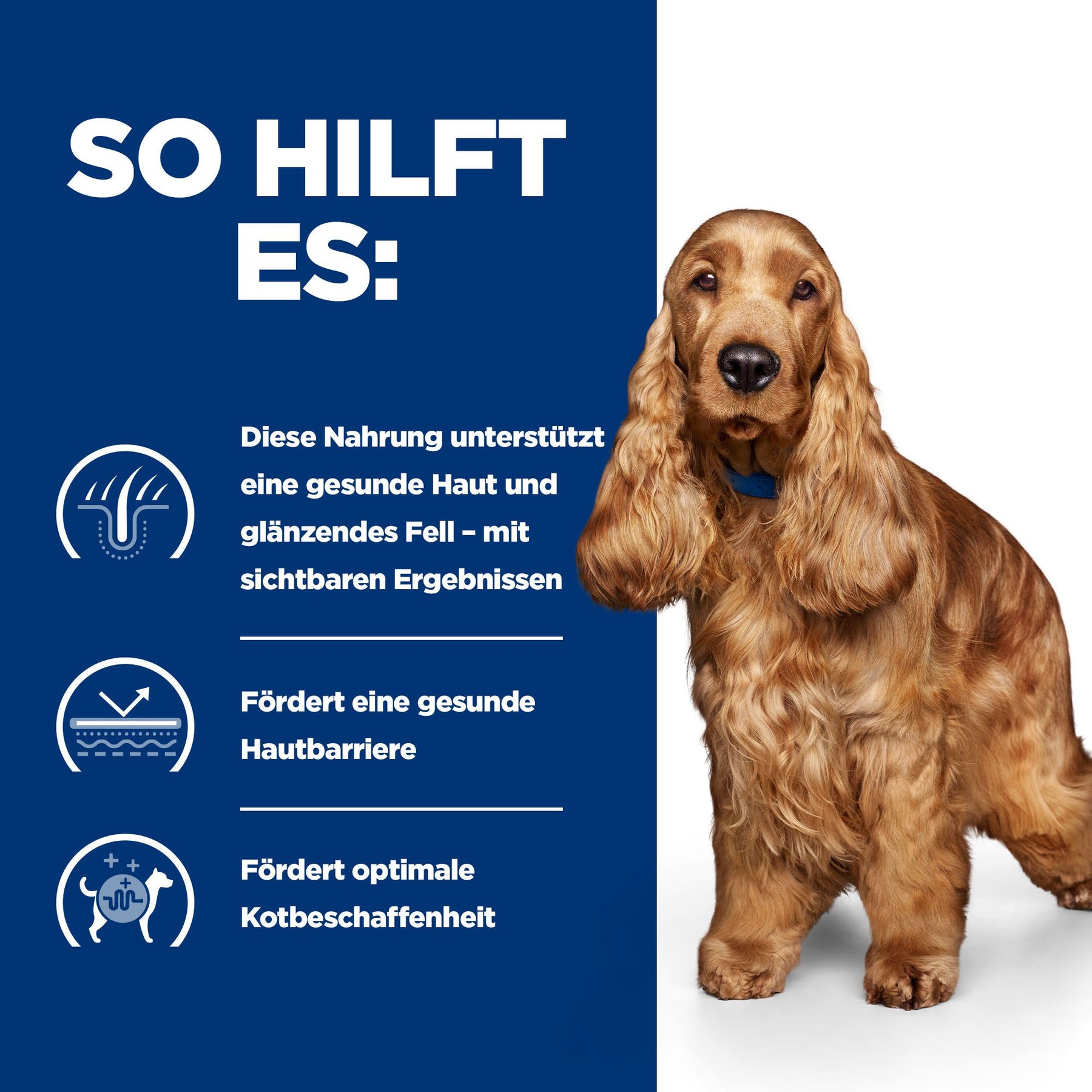 z/d Trockenfutter für Hunde Original How It Helps