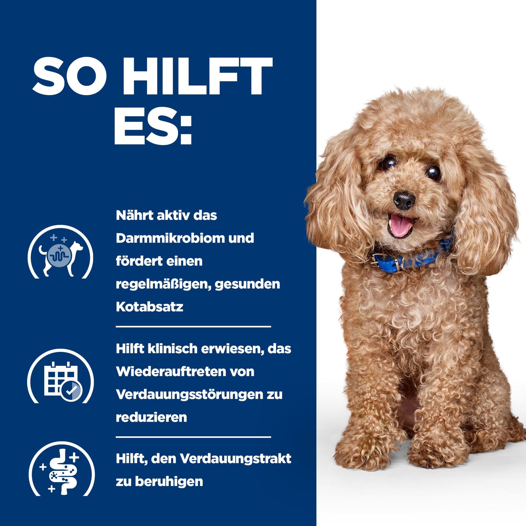 Gastrointestinal Biome Mini Hundefutter mit Huhn How It Helps