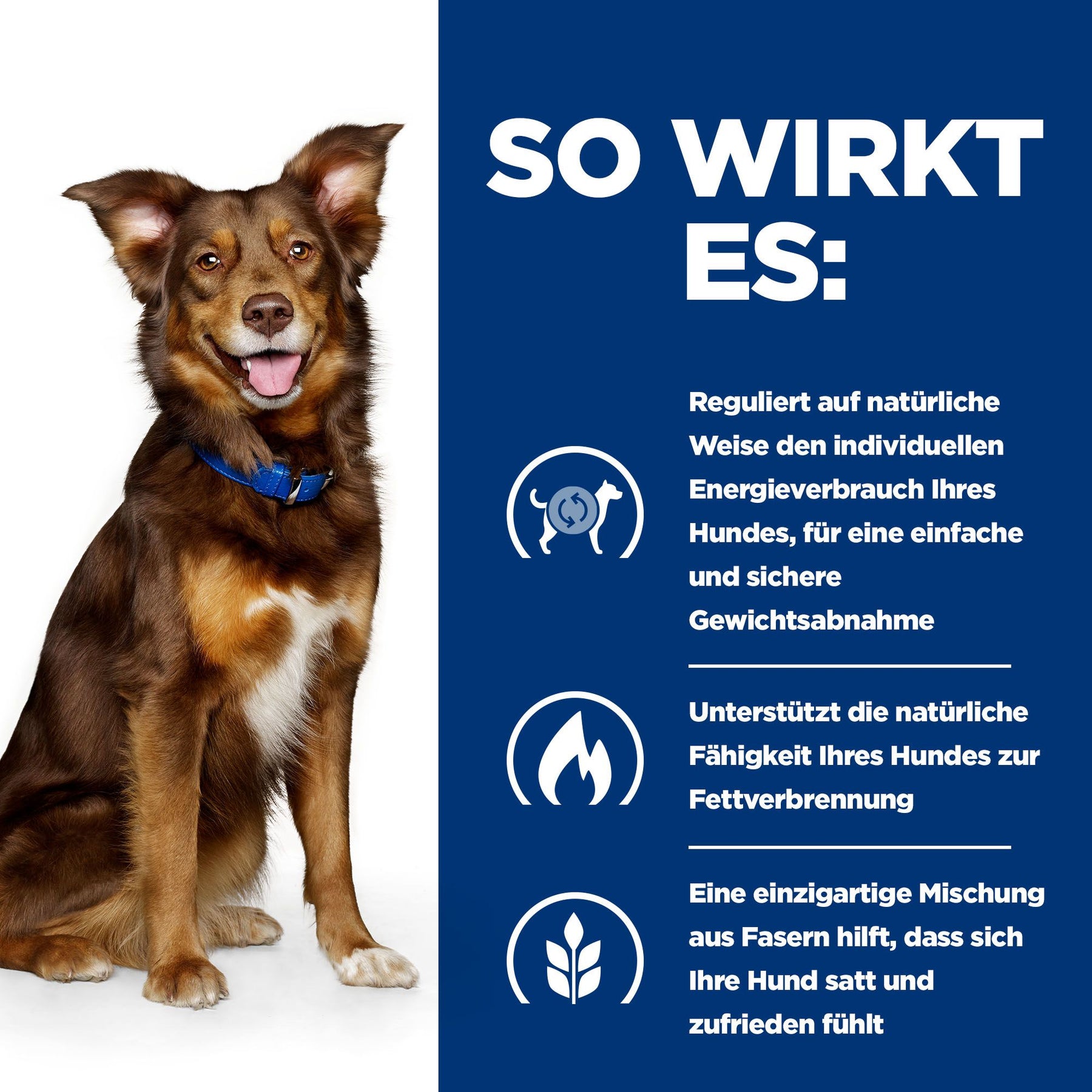 Metabolic Hunde Nassfutter mit Huhn How It Helps