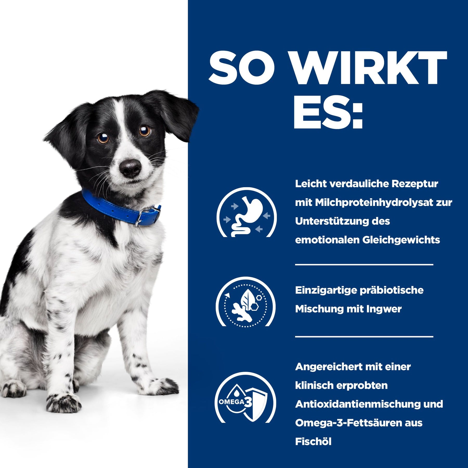 i/d Stress Mini Hunde Ragout How It Works