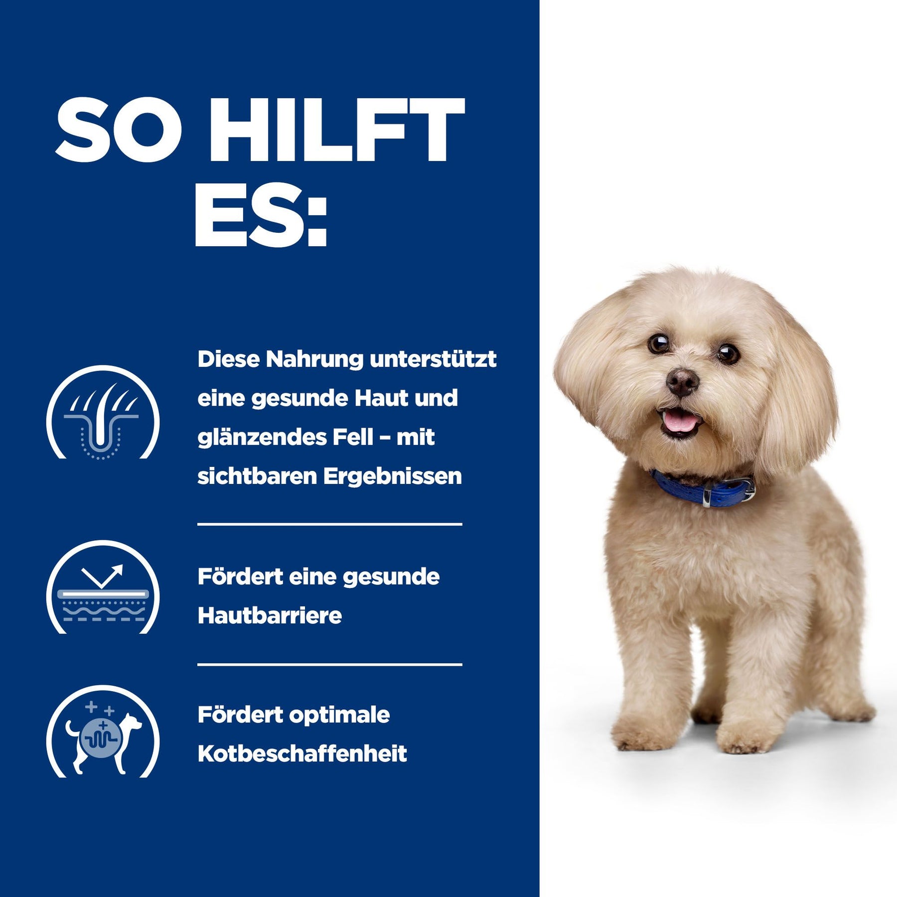 z/d Mini Hundefutter Original How It Helps