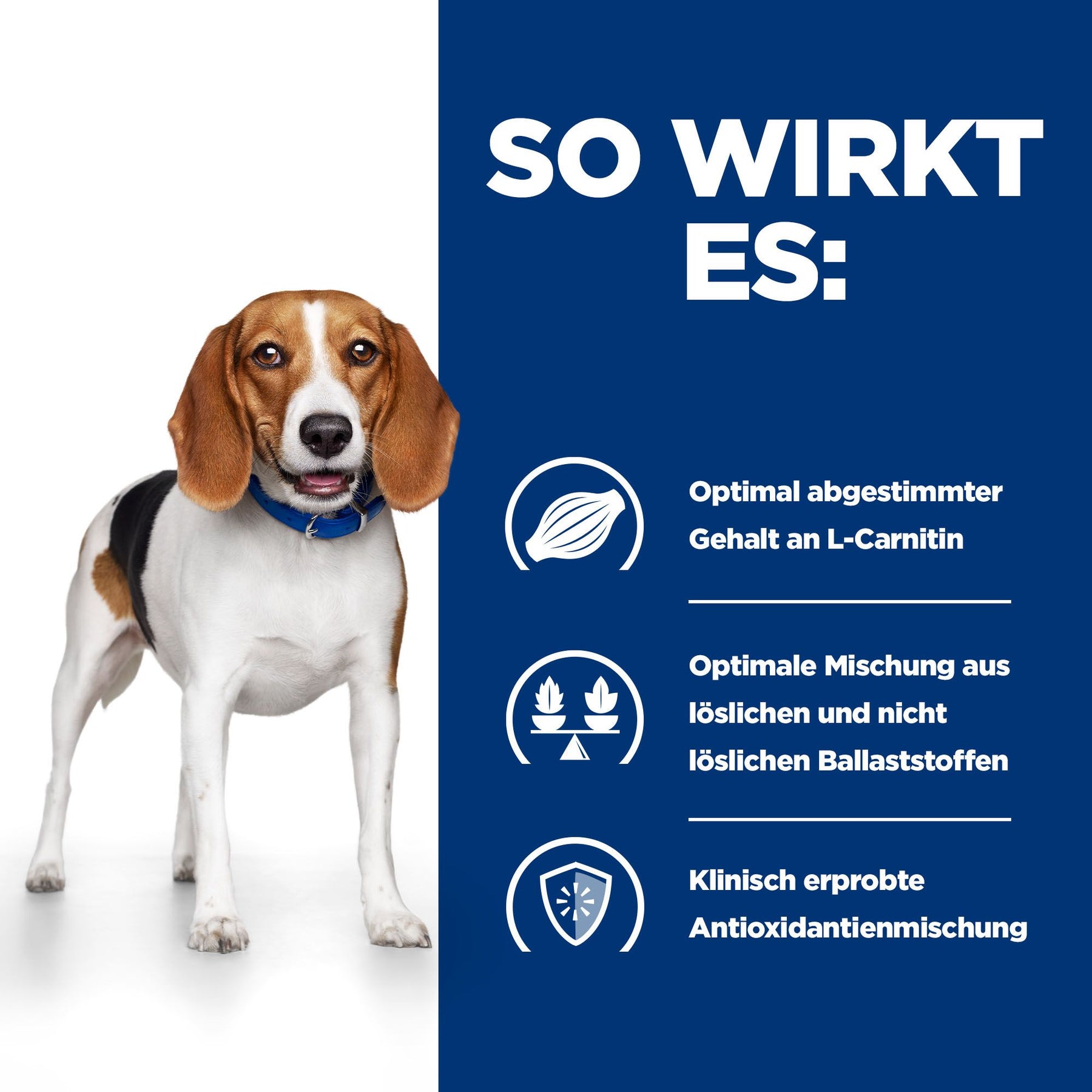 r/d Nassfutter für Hunde mit Huhn How It Helps