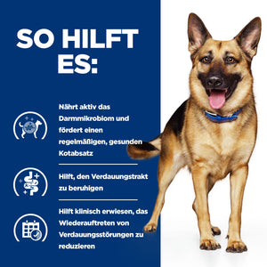 Gastrointestinal Biome Hunde Ragout How It Helps