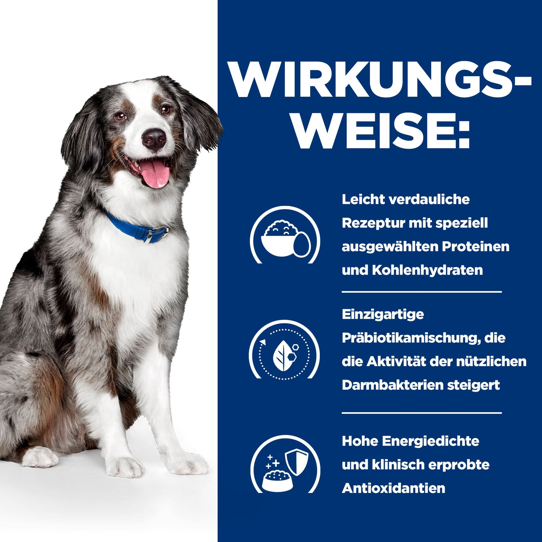 i/d Sensitive Hundefutter How It Works