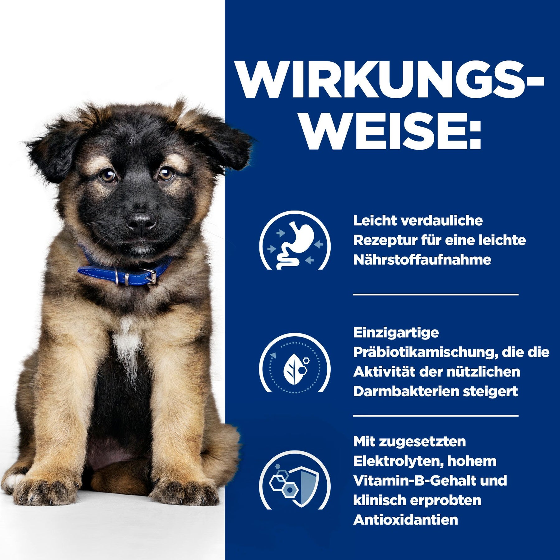 i/d Welpenfutter How It Works