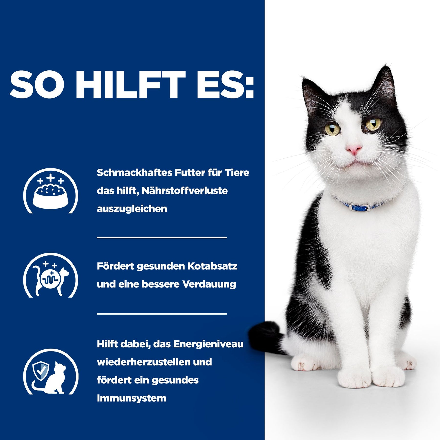 i/d Ragout für Katzen How It Helps