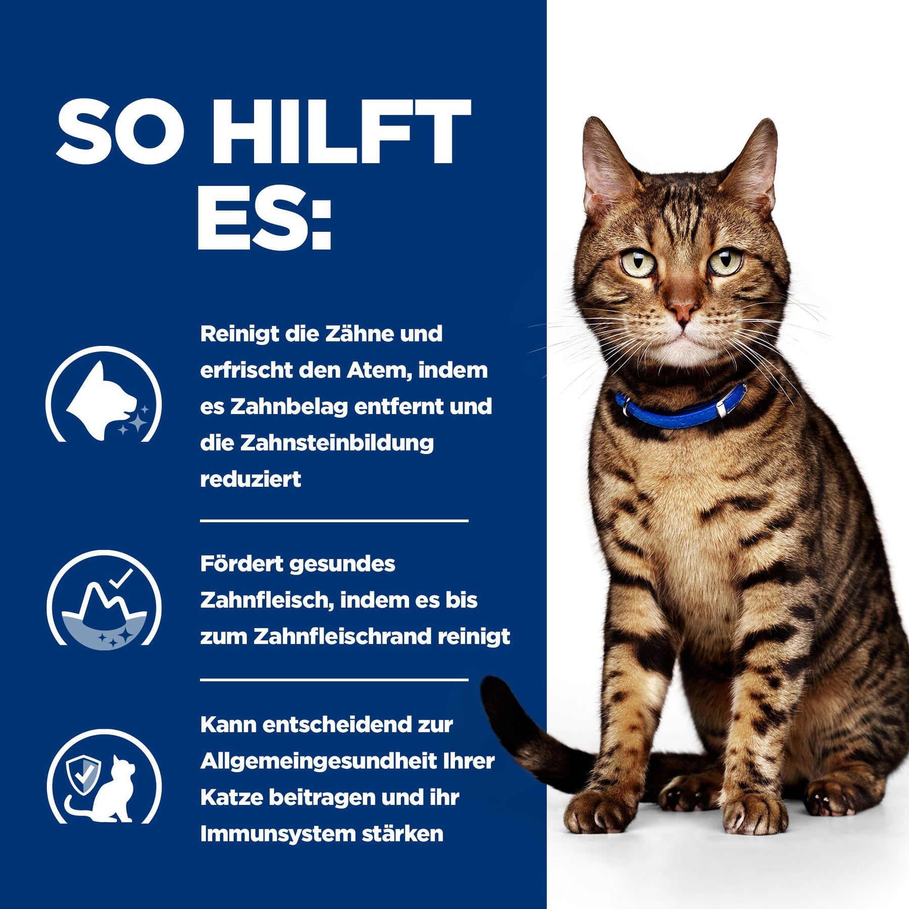 t/d Katzen Trockenfutter mit Huhn How It Helps