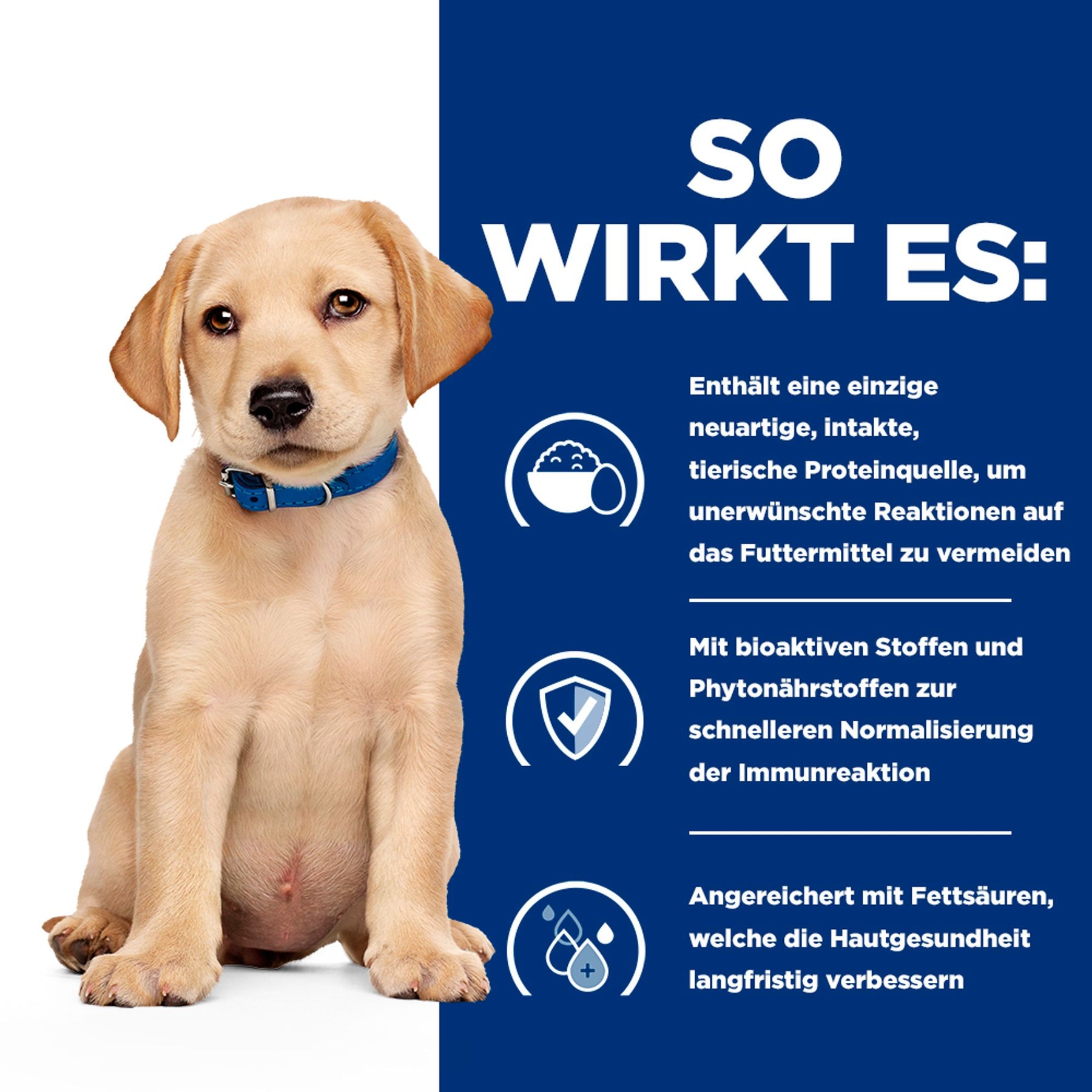 Derm Complete Welpenfutter mit Ei How It Helps