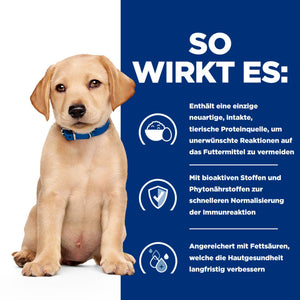 Derm Complete Welpenfutter mit Ei How It Helps