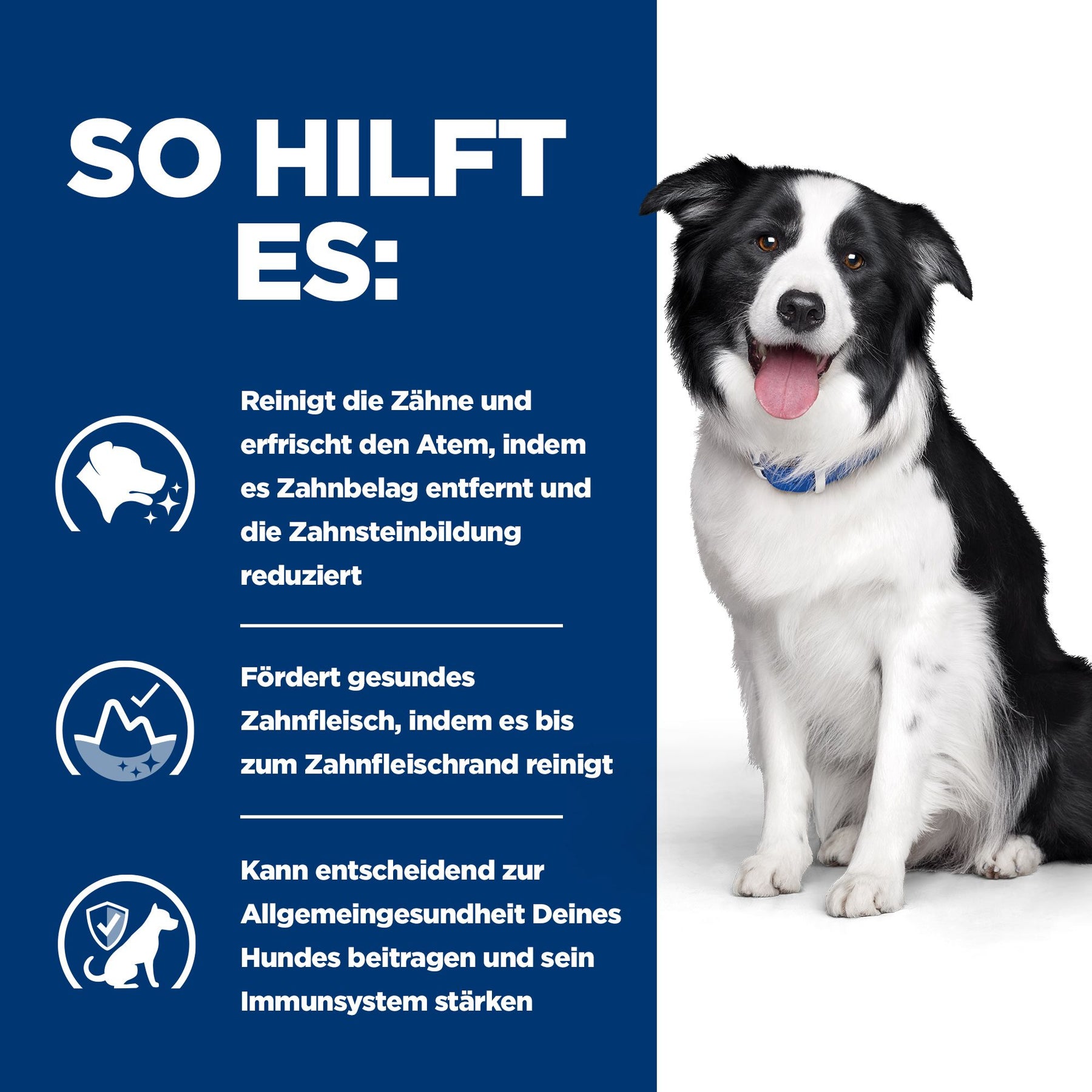 t/d Trockenfutter für Hunde mit Huhn How It Helps