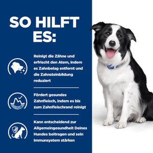 t/d Trockenfutter für Hunde mit Huhn How It Helps