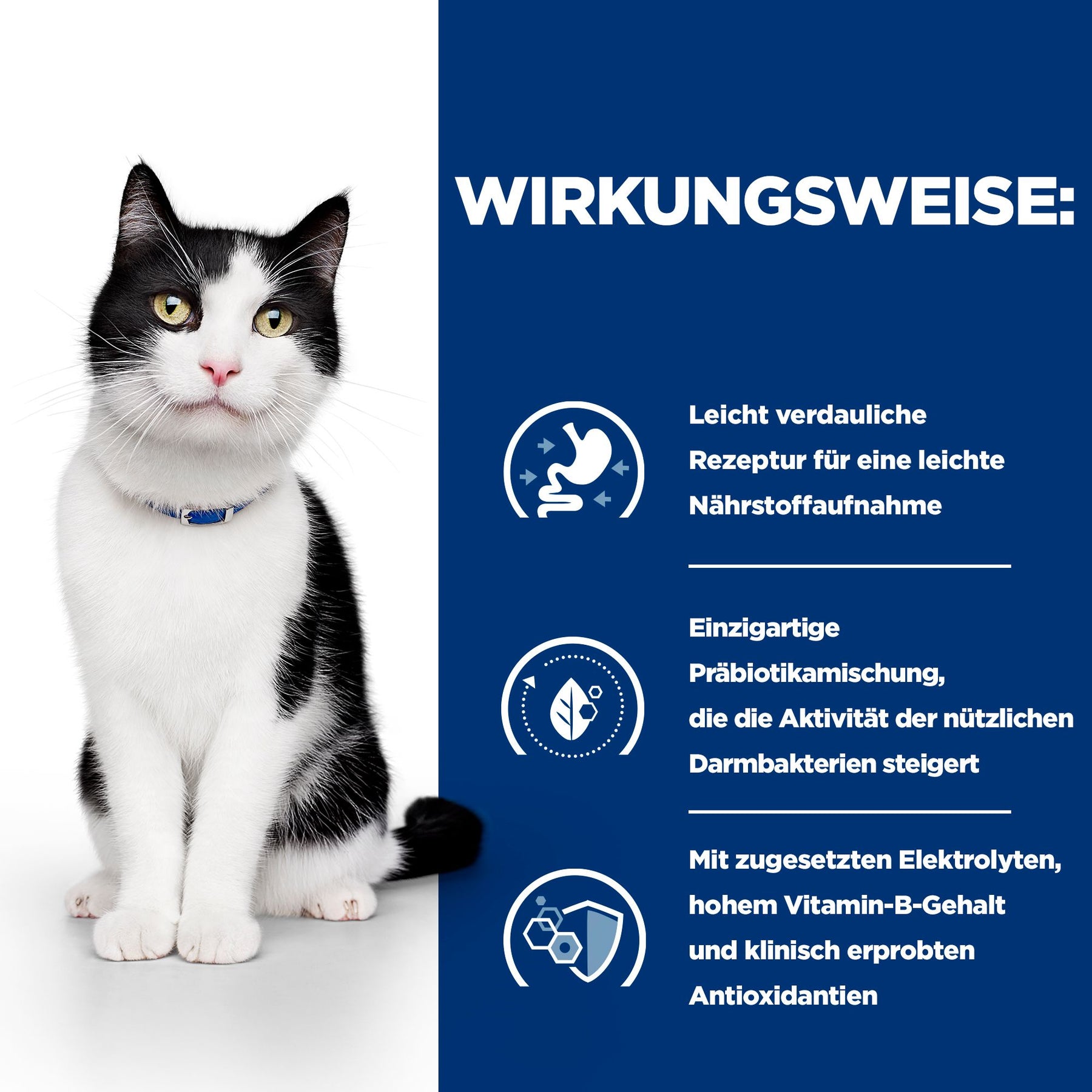 i/d Katzenfutter How It Works