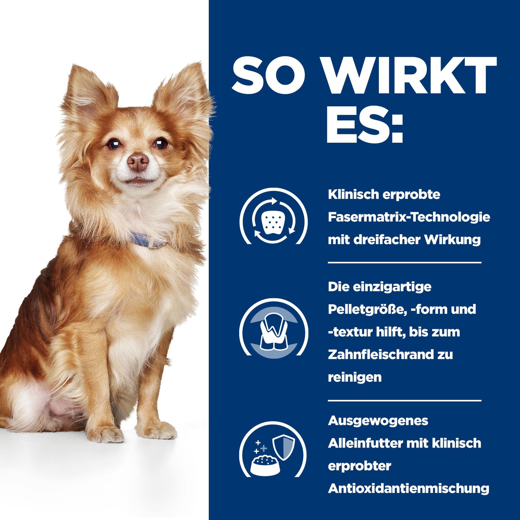 t/d Mini Hundefutter mit Huhn How It Works