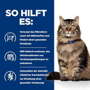 Gastrointestinal Biome Katzen Ragout How It Helps